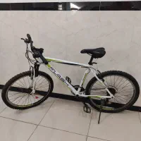 دوچرخه فلش ۲۶ حرفه ای