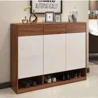 انواع جاکفشی|جاکفشی، کمد، دراور|رشت, باهنر|دیوار