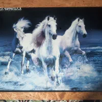 دو عدد طابلو مناسب اتاق خواب و پذیرایی قیمت مناسب