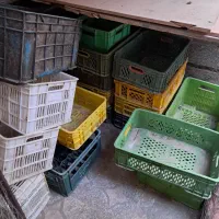 سبد محکم|ظروف نگهدارنده، پلاستیکی، یک‌بارمصرف|گرمسار, |دیوار