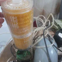 اکواریم بزرگ