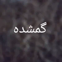 تعدادی مدارک به اسم ««عباس صفری»»گمشده