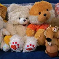 عروسک در حد نو(۳۰۰ هزار تومن)