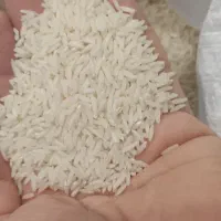 برنج هاشمی گیلان|خوردنی و آشامیدنی|تهران, نصرت|دیوار