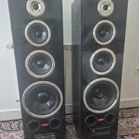 باند ایستاده