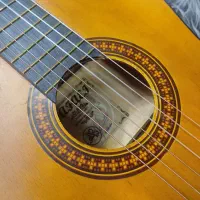 گیتار MV|گیتار، بیس، امپلیفایر|زنجان, |دیوار