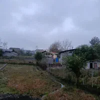 زمین مسکونی تو لفور چسبیده به جنگل هیرکانی|فروش زمین و ملک کلنگی|آلاشت, |دیوار