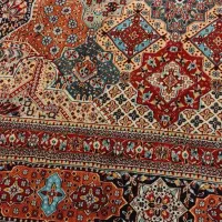 دوطاقه فرش ماشینی|فرش|صدرا-فارس, فاز ۱|دیوار