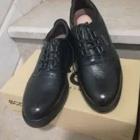 کفش روزمره|کیف، کفش، کمربند|اردکان, |دیوار