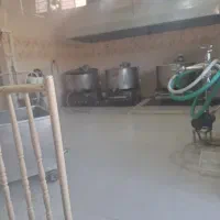 همکار خانم کارگاه لبنیات