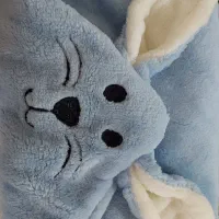 پتو نوزادی فوتر آرامیس نو|اسباب و اثاث بچه|کاشان, میدان کهنه|دیوار