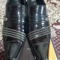 کفش مجلسی