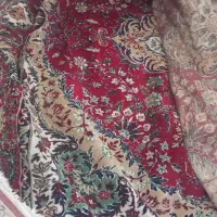 فرش ۱۲ متری  ویک کناره|فرش|الشتر, |دیوار