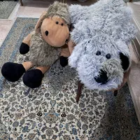 سگ و گاو بزرگ