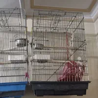 2عدد قفس پرنده سایز1033