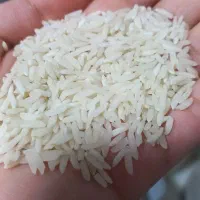 برنج هاشمی درجه یک دانه بلند