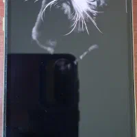 سامسونگ s10e سفارشی