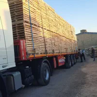 فروش عمده پالت چوبی نو و دست دوم|عمدهفروشی|اصفهان, گورت|دیوار