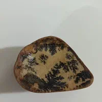 سنگ کلکسیونی با نقش درخت