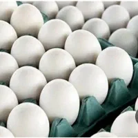 تخم مرغ ماهان|خوردنی و آشامیدنی|تهران, زرکش|دیوار