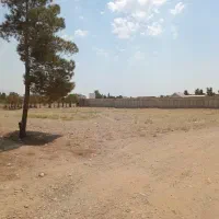 فروش ۱۵۰۰ زمین سند دار در مرغک