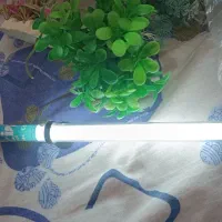 مهتابی