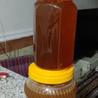 مغازه