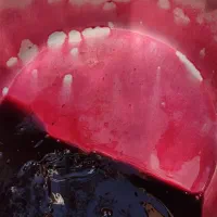 زرشک وآب زرشک کوهی تازه غلیظ وباکیفیت