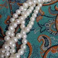 مروارید پرورشی اصل ۵۰ ساله