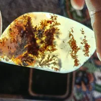 شجر منظره|کلکسیون اشیاء عتیقه|فردوس (خراسان), |دیوار