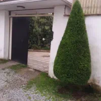 هرس و علف تراشی کلتیواتور|خدمات باغبانی و درختکاری|ساری, |دیوار