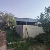 خانه باغ دامداری|فروش خانه و ویلا|کاشان, دانشگاه شهید رجایی|دیوار