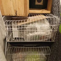 قفس پرنده وخرگوش