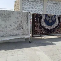 قالیشویی|خدمات نظافت|ایذه, |دیوار