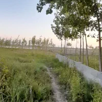 زمین بافت مسکونی ۳۶۷ متر لشت نشا (املاک پارسه)