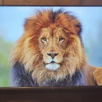 اندروید با کیفیت فورکی