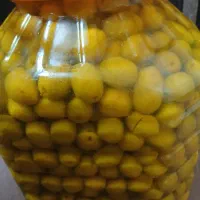 زیتون|خوردنی و آشامیدنی|رشت, بوسار|دیوار