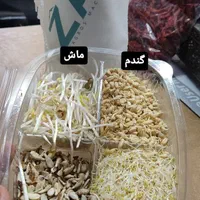 جوانه ساز|ماشین‌آلات صنعتی|کرج, گلستان|دیوار