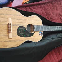 گیتار مدل mv4. همرا گیگ بگ