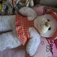 عروسک|اسباب‌‌بازی|اردبیل, |دیوار