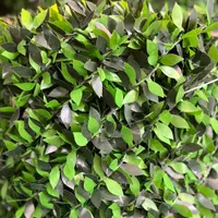 فنس چمنی و فنس برگی|خدمات باغبانی و درختکاری|کرج, گلدشت|دیوار