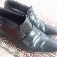 کفش|کیف، کفش، کمربند|بیرجند, |دیوار