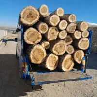 خرید چوب ودرخت|خدمات باغبانی و درختکاری|زنجان, |دیوار