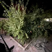 ویلایی 200 متر جنوبی معاد|فروش خانه و ویلا|شاهینشهر, شهرک ردانی پور|دیوار