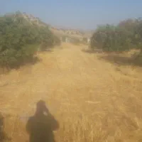 زمین-مناسب-خانه-باغ