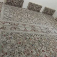 فرش 700شانه تراکن 255|فرش|مهاباد (آذربایجان غربی), |دیوار