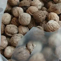 گردو کیلویی ۴۰۰ هزار تومان