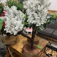 درختچه های جذاب و زیبا  با تنه طبیعی|صنایع دستی و سایر لوازم تزئینی|بهشهر, |دیوار