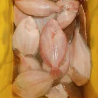 ماهی فروشی جنوب