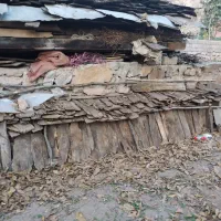 چوب سربندی و تخته خانه روستایی|مصالح و تجهیزات ساختمان|کجور, |دیوار